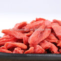 Importação de bagas de goji secas bagas de goji goji comida original Ningxia wolfberry